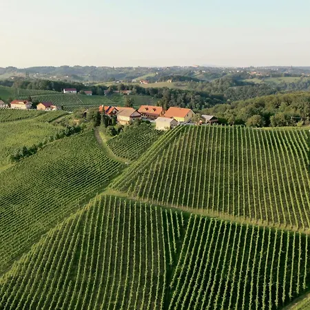 Wine & Tourism Bracko 3*