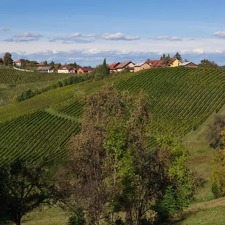 Wine & Tourism Bracko 3* Spodnji Jakobski Dol