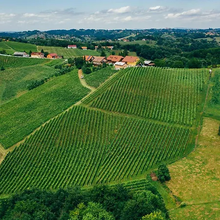 לינה וארוחת בוקר Wine & Tourism Bracko Spodnji Jakobski Dol