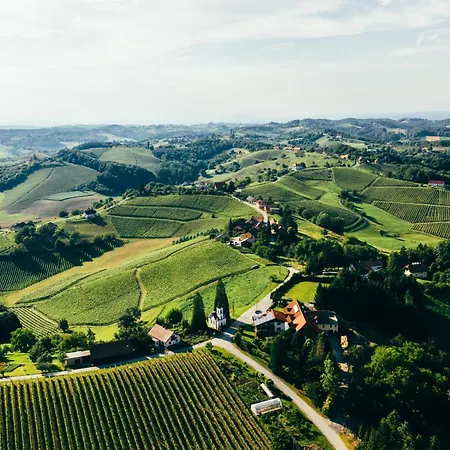 Wine & Tourism Bracko Spodnji Jakobski Dol
