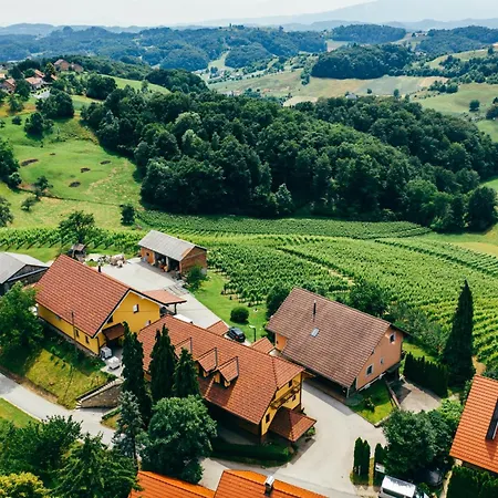 לינה וארוחת בוקר Wine & Tourism Bracko