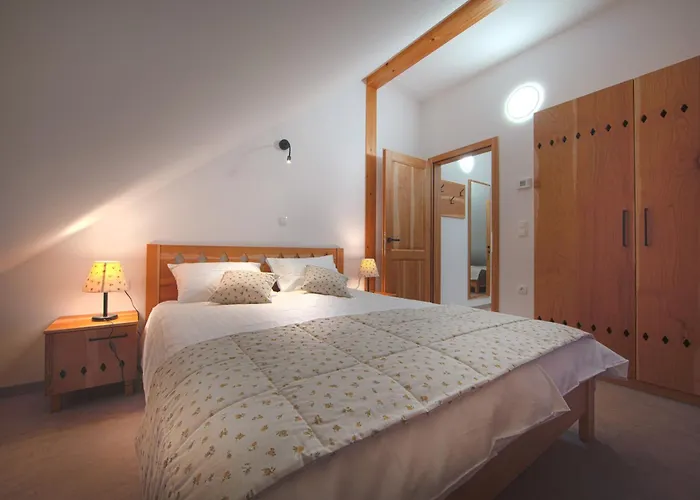 Wine & Tourism Bracko Spodnji Jakobski Dol