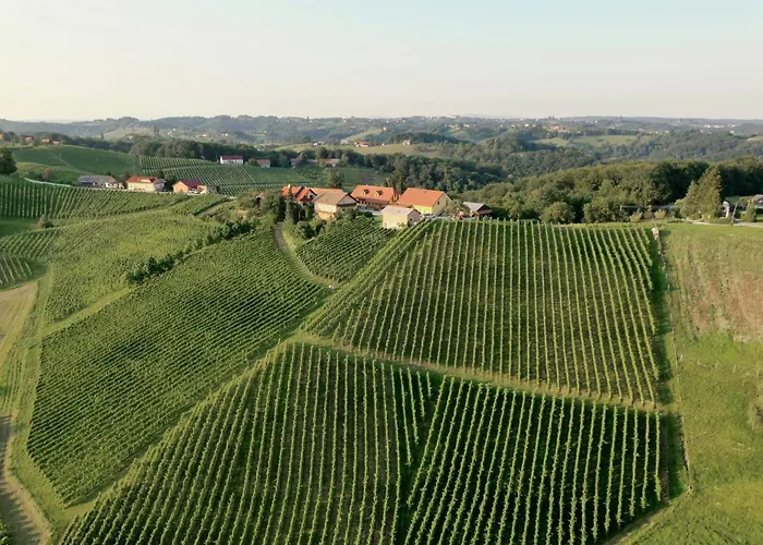 Wine & Tourism Bracko 3*