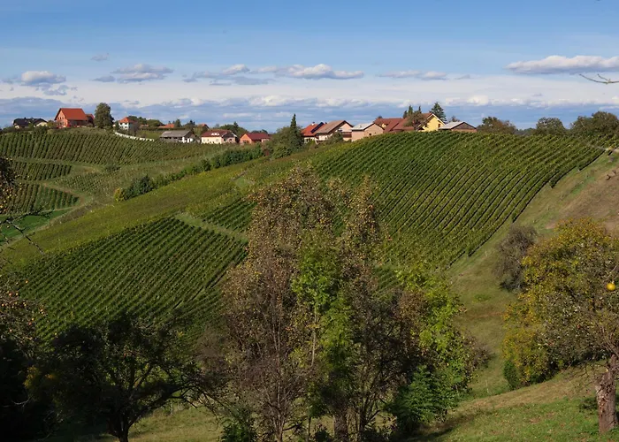 Wine & Tourism Bracko 3* Spodnji Jakobski Dol