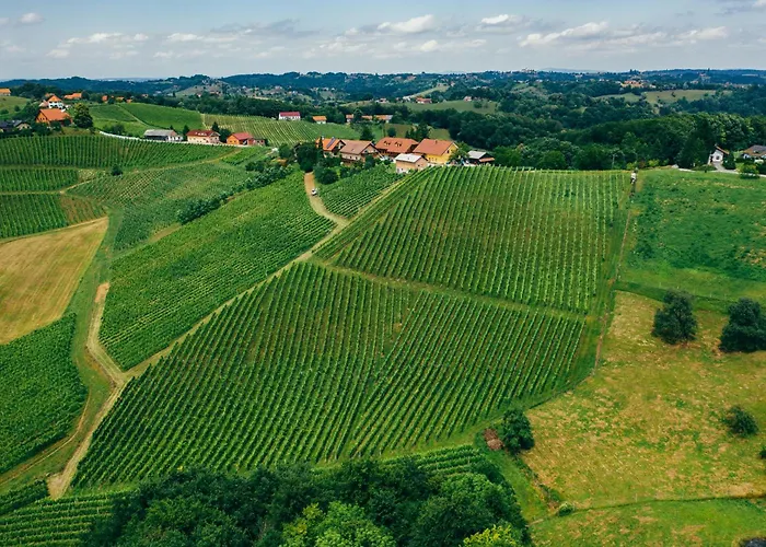 krevet i doručak Wine & Tourism Bracko Spodnji Jakobski Dol