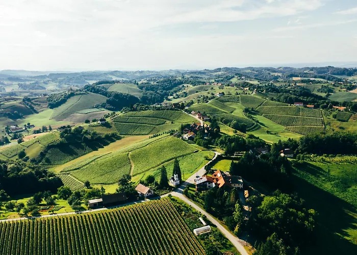 Wine & Tourism Bracko Spodnji Jakobski Dol